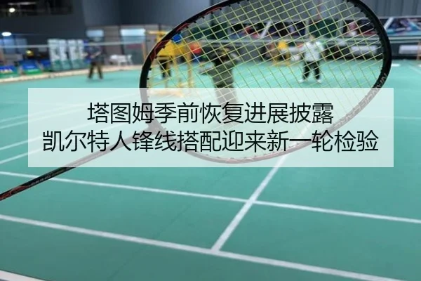 塔图姆季前恢复进展披露 凯尔特人锋线搭配迎来新一轮检验