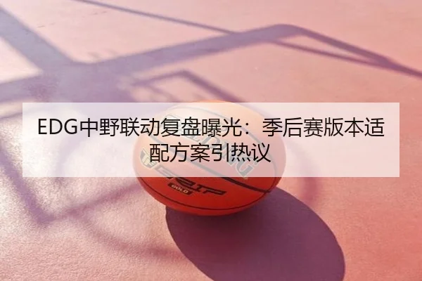 EDG中野联动复盘曝光：季后赛版本适配方案引热议