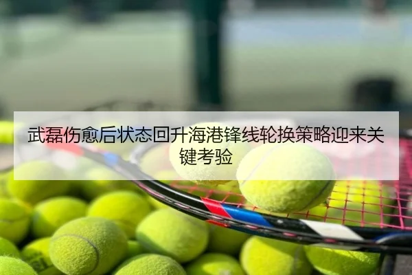 武磊伤愈后状态回升海港锋线轮换策略迎来关键考验