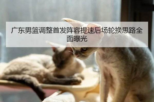 广东男篮调整首发阵容提速后场轮换思路全面曝光